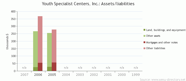 Youth Specialist Centers, Inc.: Assets/liabilities