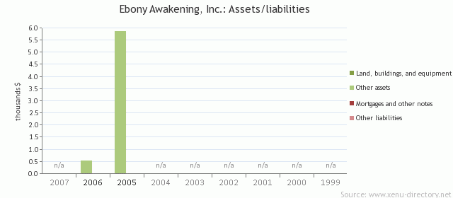 Ebony Awakening, Inc.: Assets/liabilities