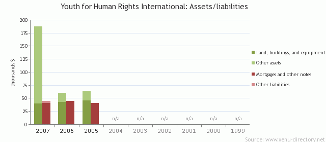 Youth for Human Rights International: Assets/liabilities